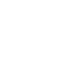 washu